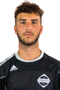 David Palasanu