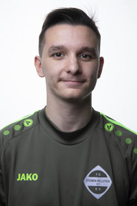Dominik Hermann