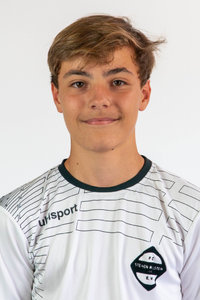 Jan Maslesa Ferhatovic