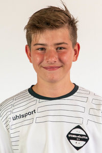 Luis Puschmann