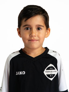 Mert Sari