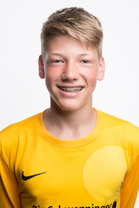 Theo Steffens