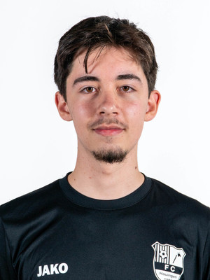 Nico Diener