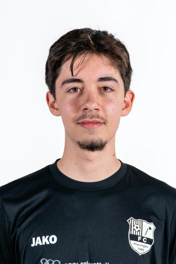Nico Diener